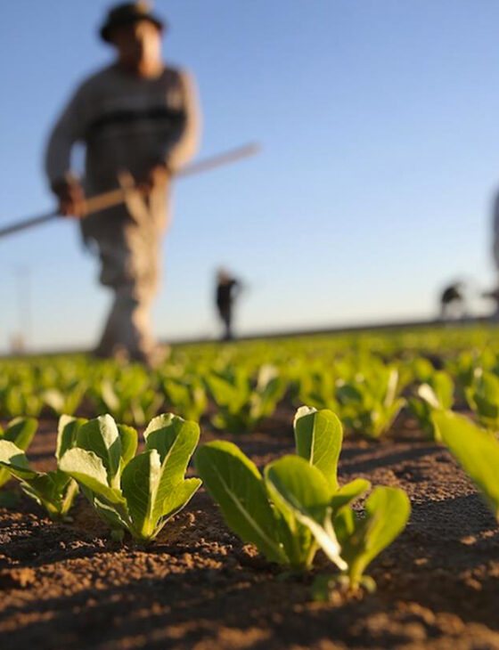 agricoltore-del-futuro